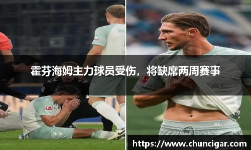霍芬海姆主力球员受伤，将缺席两周赛事