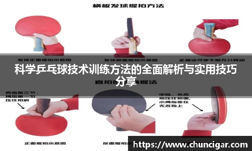 im电竞平台官网