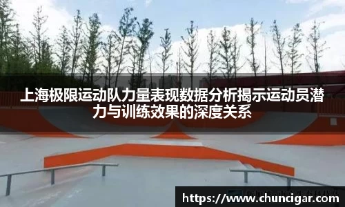 im电竞官网