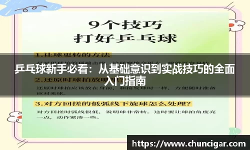乒乓球新手必看：从基础意识到实战技巧的全面入门指南