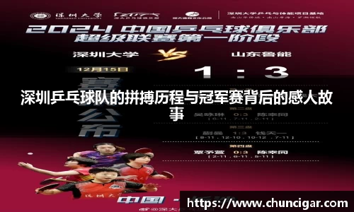 深圳乒乓球队的拼搏历程与冠军赛背后的感人故事