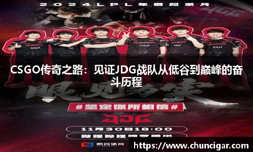 CSGO传奇之路：见证JDG战队从低谷到巅峰的奋斗历程
