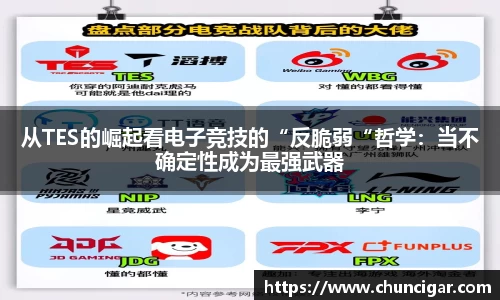 im电竞官网