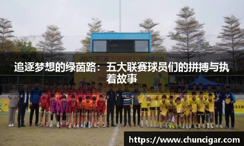 im电竞平台官网