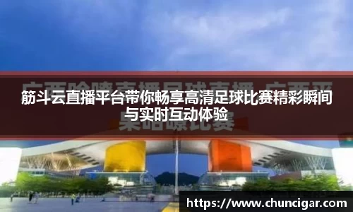 im电竞平台官网