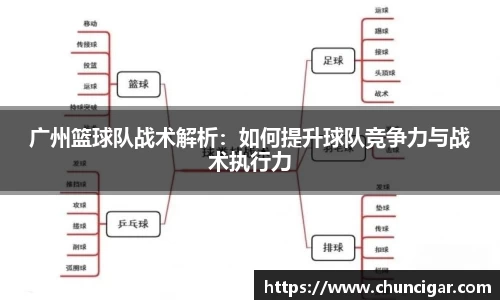 广州篮球队战术解析：如何提升球队竞争力与战术执行力