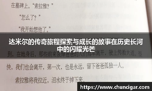 达米尔的传奇旅程探索与成长的故事在历史长河中的闪耀光芒
