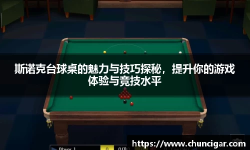 斯诺克台球桌的魅力与技巧探秘，提升你的游戏体验与竞技水平