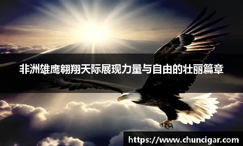 im电竞官网