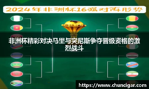 非洲杯精彩对决马里与突尼斯争夺晋级资格的激烈战斗